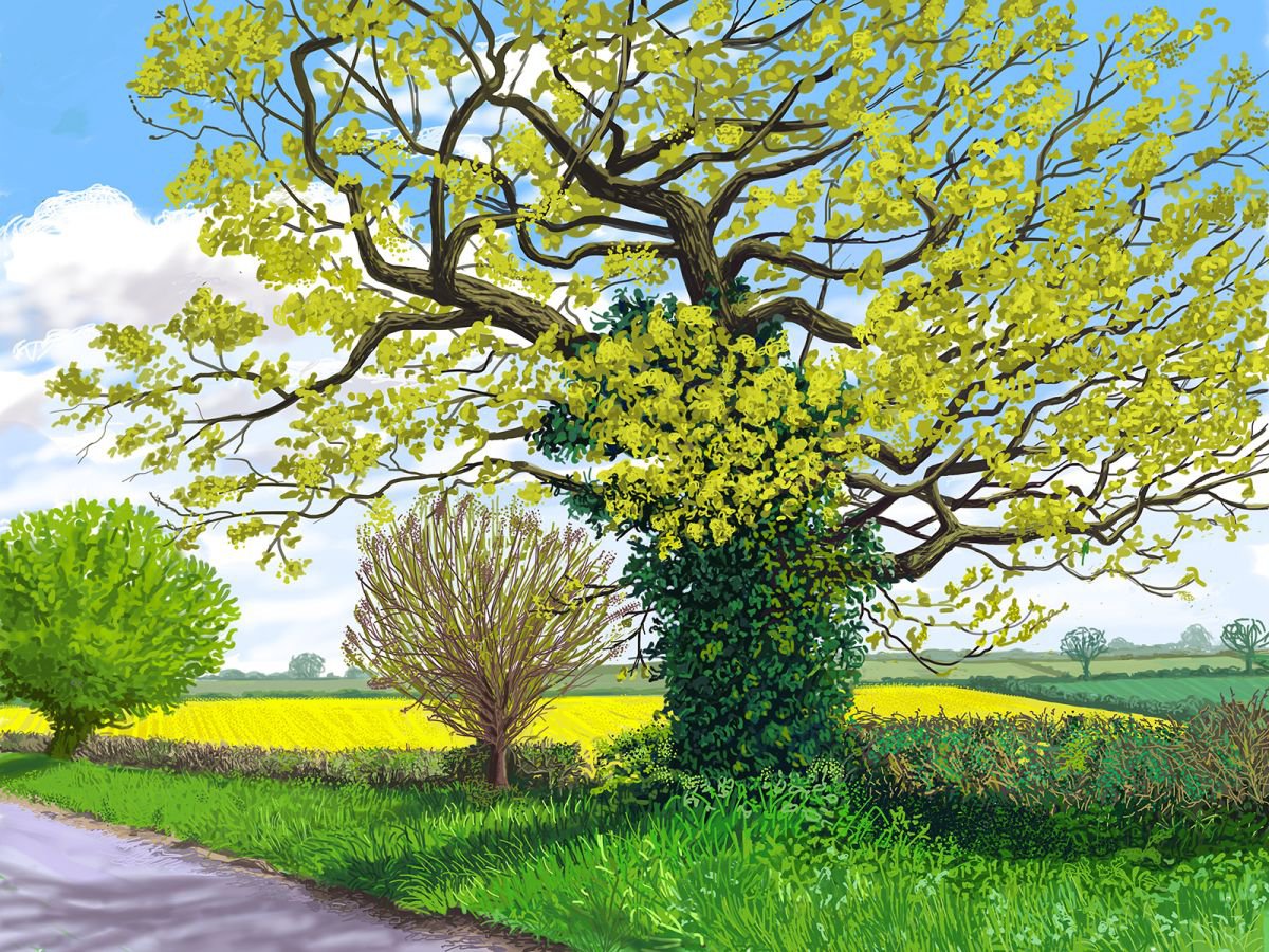 Spring Oak Tree, Newburgh, North Yorkshire by Jeff Parker