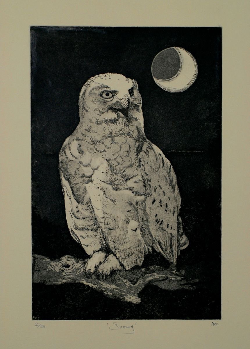 Snowy Owl Etching by Isabel Hutchison