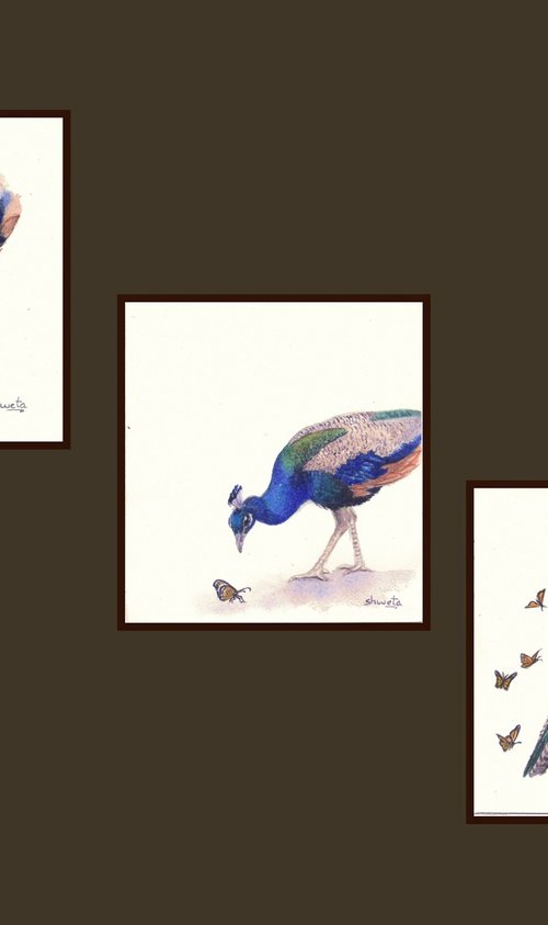 Peacock and butterfly by Shweta  Mahajan