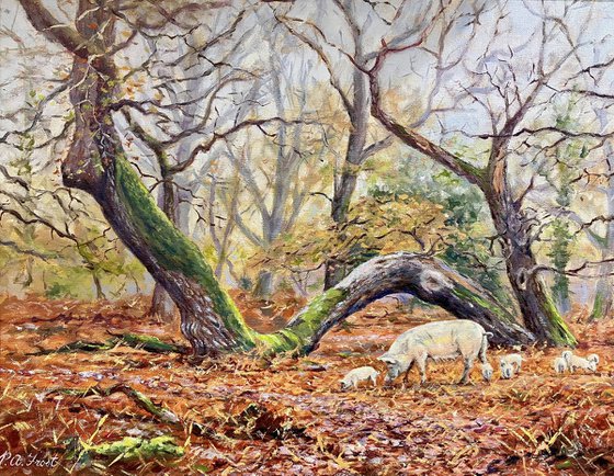 Vinney Ridge Pigs
