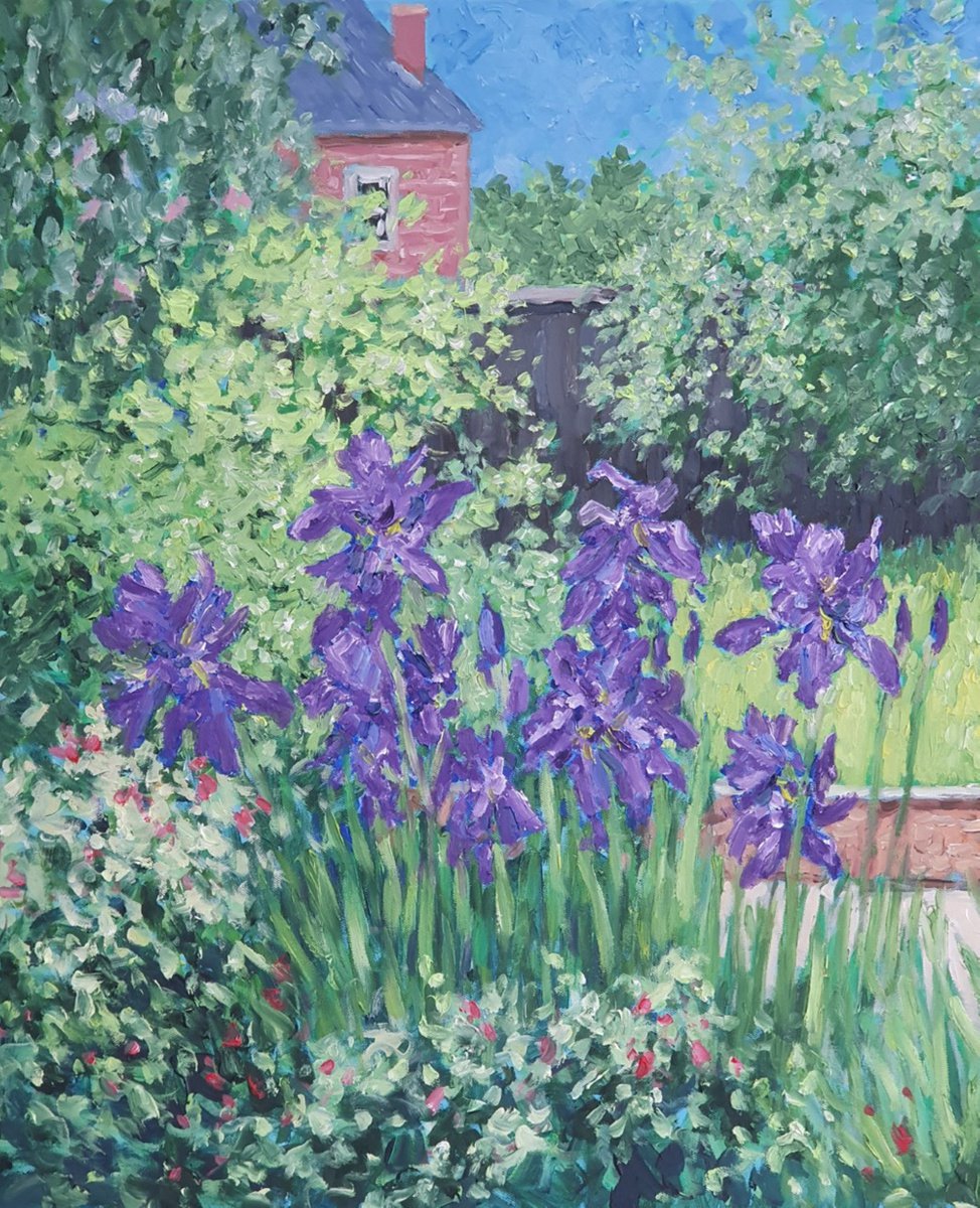 Botanical Oil Painting By Colin Ross Jack, 20 X 24, Irises 4, Original Artwork