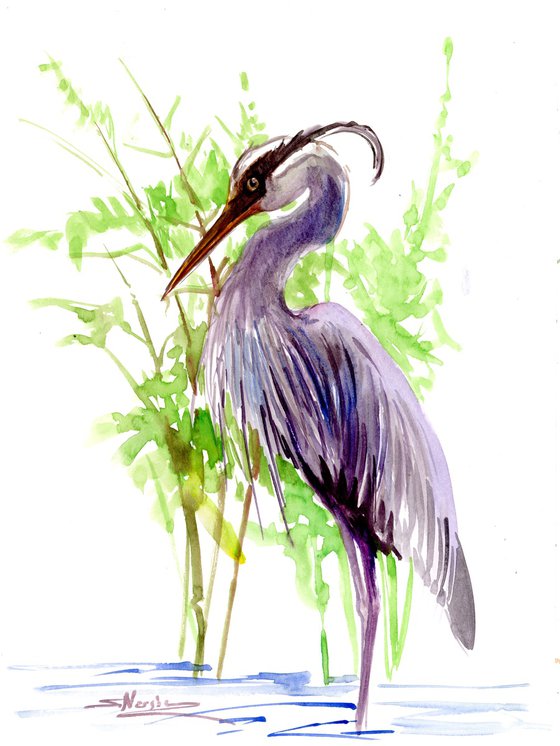 Blue Heron