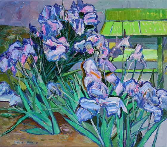" Irises "