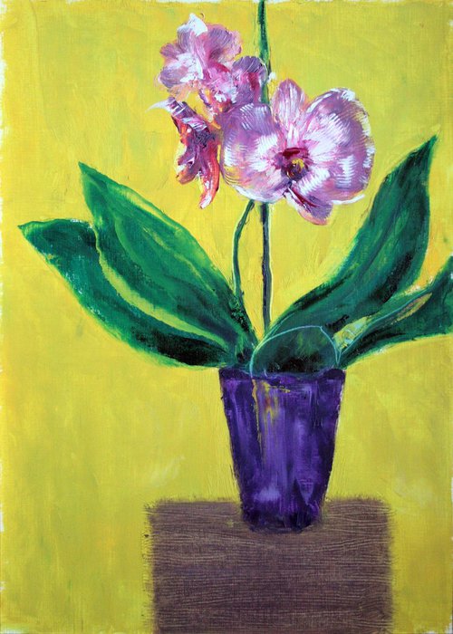 Orchid I /  ORIGINAL PAINTING by Salana Art Gallery