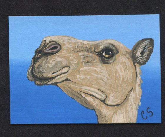 ACEO ATC Original Painting Camel Wildlife Art-Carla Smale