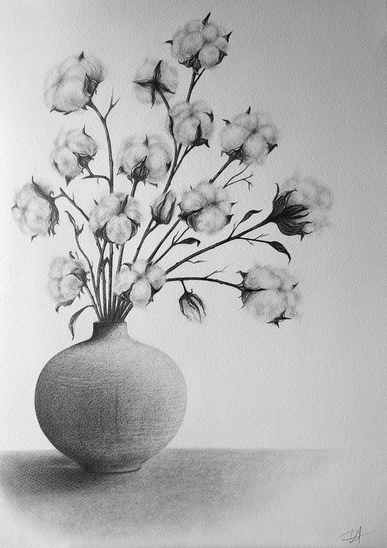 Cotton
