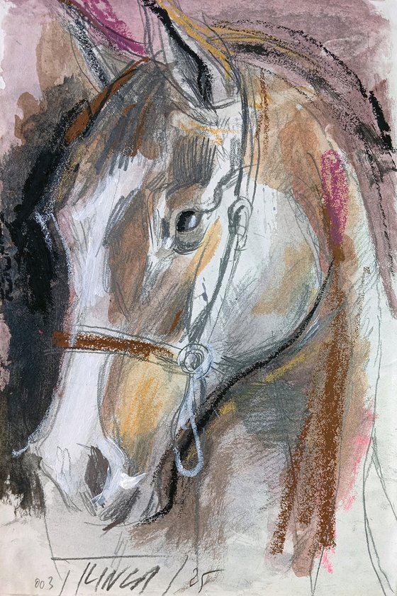 Wild grace 2-2025 (study)