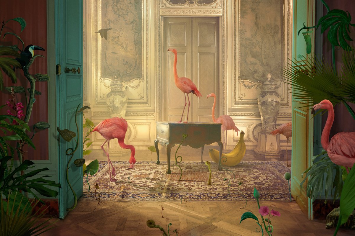 Surrealistic Animal Photograph By Nikolina Petolas, 35 X 24", Another Day, Original Artwork