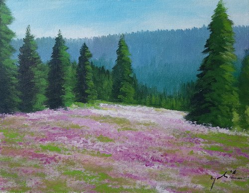 Lavender field by Alen Grbic