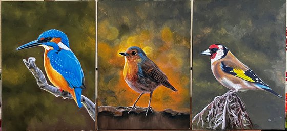 Oil Bird Triptych - Custom Commission