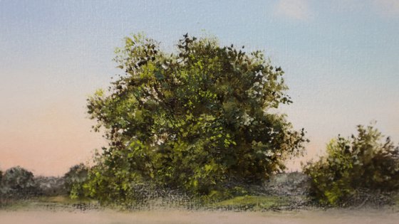 Mist Landscape Meadow Painting