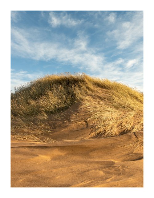 Late Dunes III by David Baker