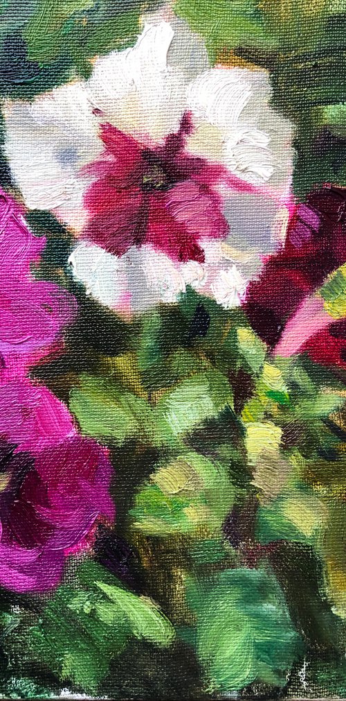 Garden flowers. Petunias by Nataliia Nosyk