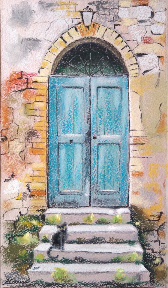 A cat at an old turquoise door