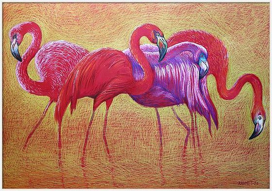 Flamingo on Gold -Blazing Gradient
