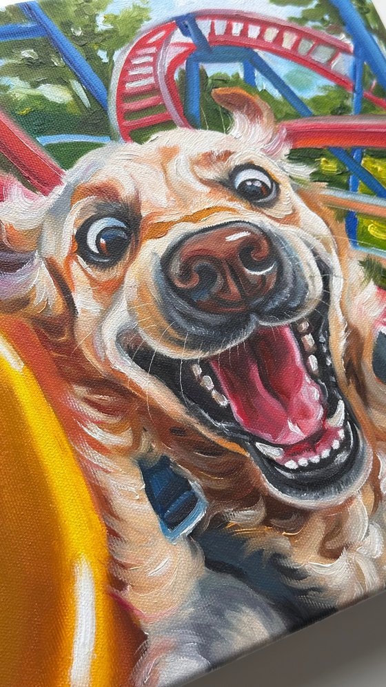 No Brakes | Dog on Rollercoaster