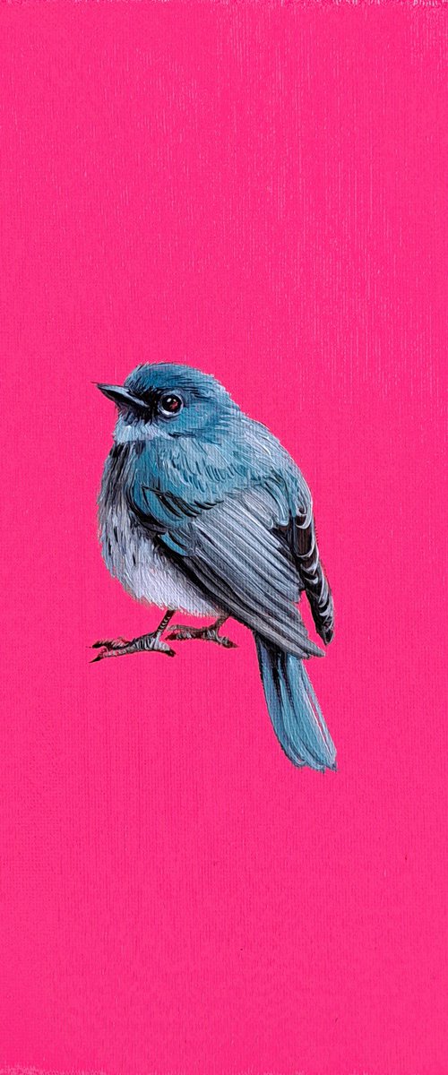 Pink Robin by Nataly Derevyanko