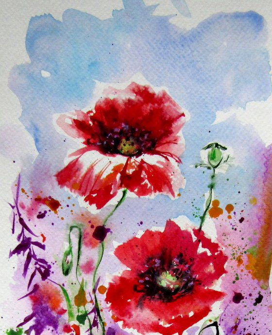 Field with poppies