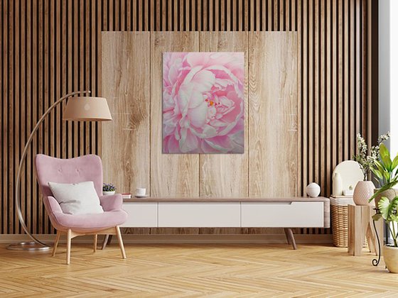 Divine Peony