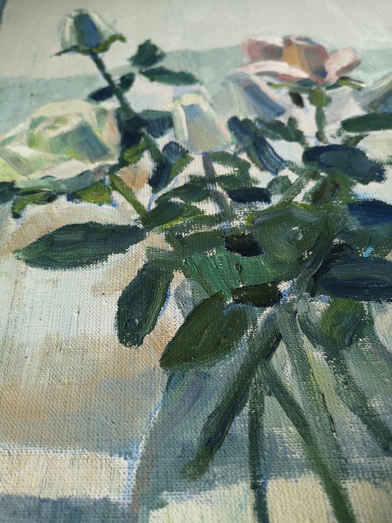 Winter roses