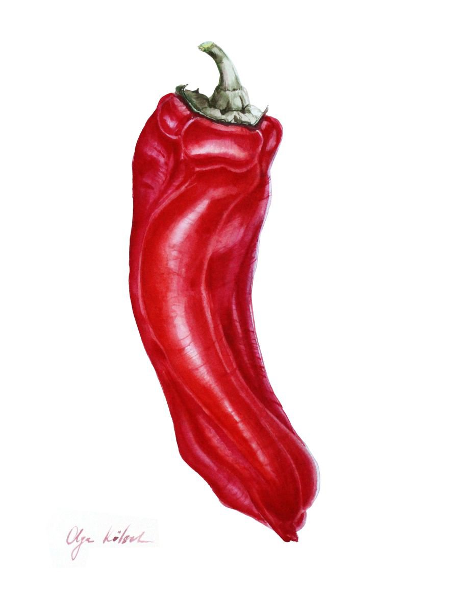 Red Paprika by Olga Koelsch