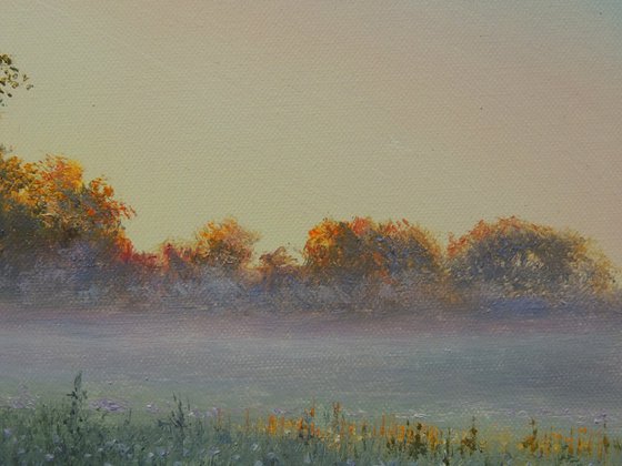 Fog Over the Meadow