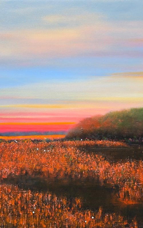 Watching the Last Light by Faith Patterson