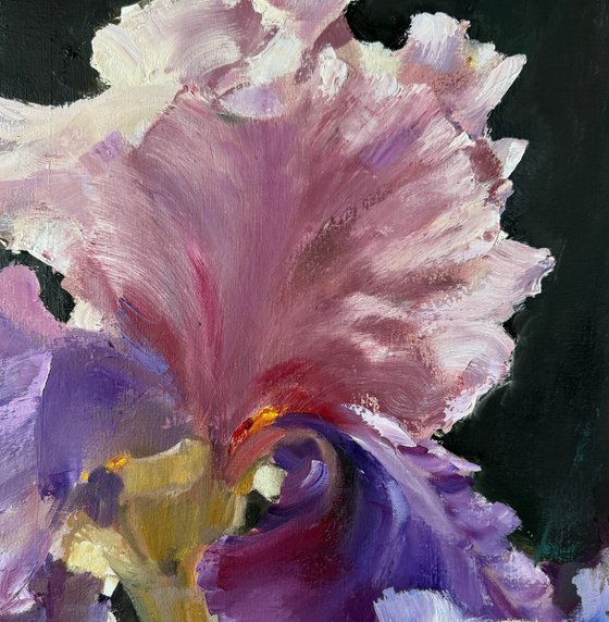 Luminous Irises