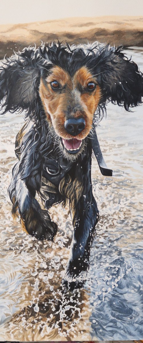 Rodney by Julian Wheat