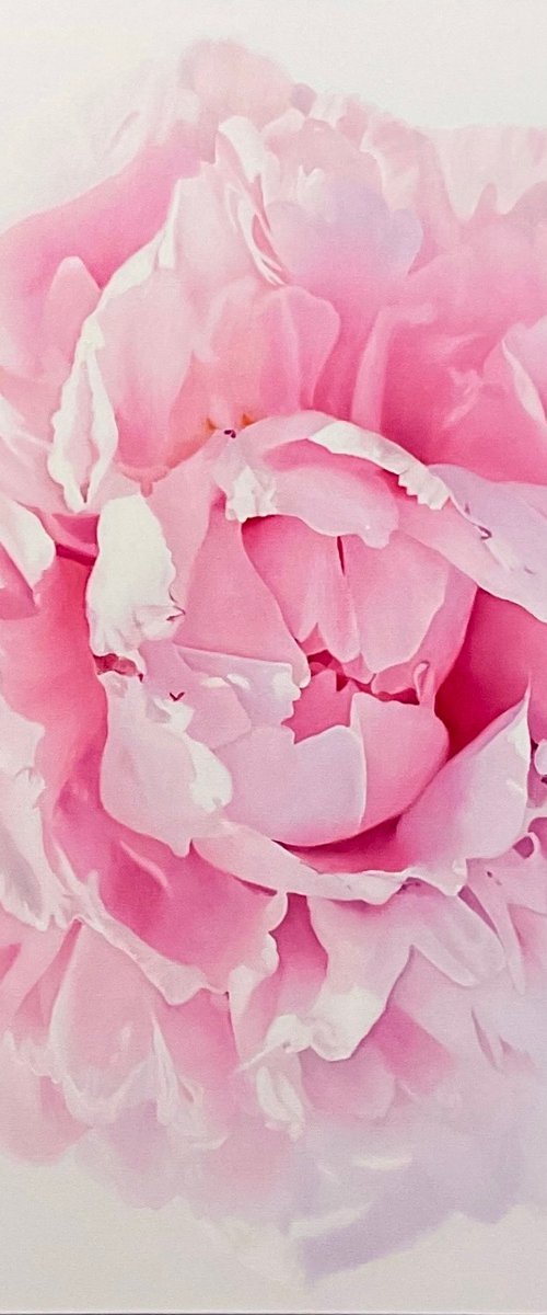 Ethereal Peony by Alla Kallas