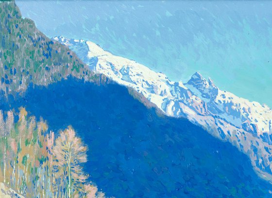 A view of the Teberda river