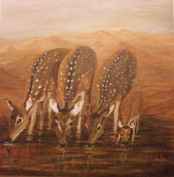 SPOTTED DEER