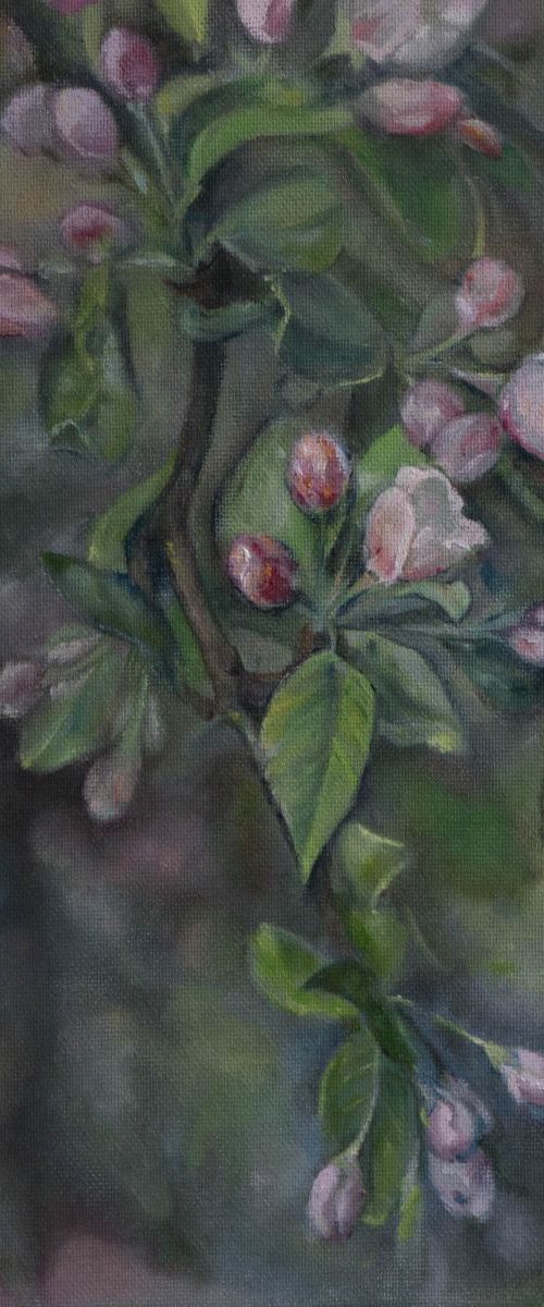 Spring heralds by Živilė Vaičiukynienė