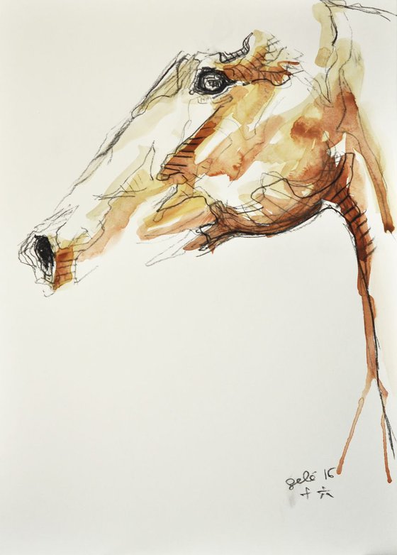 Equine Nude 29t