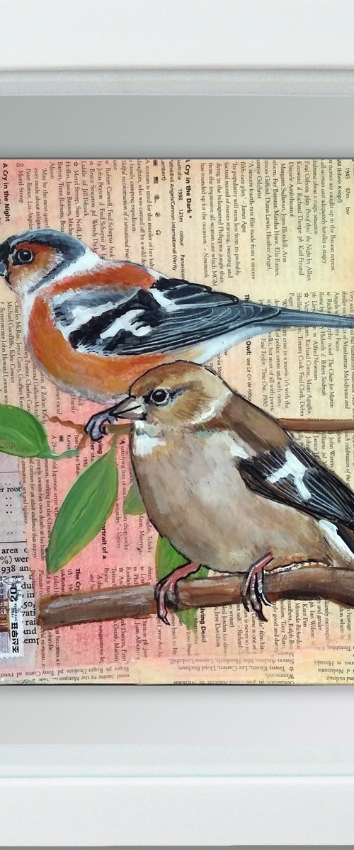 Chaffinches - Ornithology#2 - Framed ready to hang original painting by Carolynne Coulson