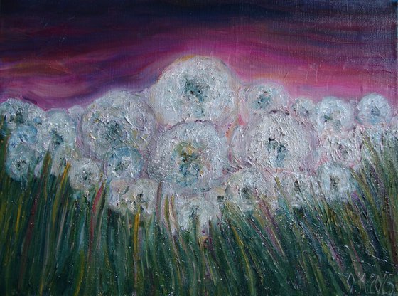 Field of dandelions