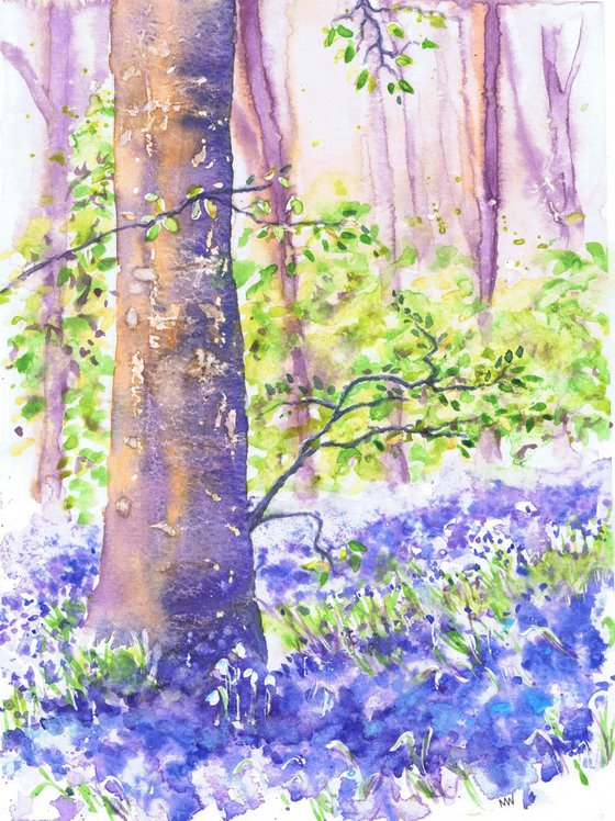 Bluebell Corner