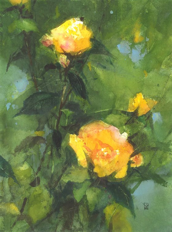 Summer Breath of Yellow Blooms