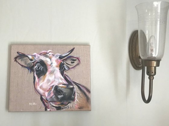 Horace - black & white cow calf heifer black eye patches original oil painting