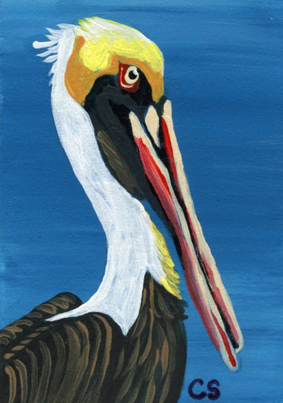 ACEO ATC Original Miniature Painting Brown Pelican Bird Wildlife Art-Carla Smale