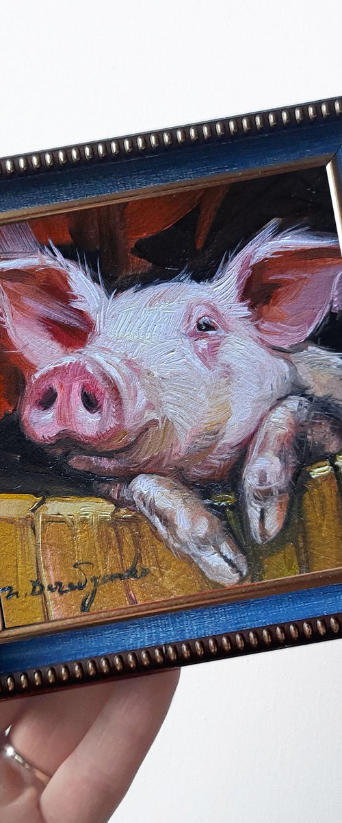 Pig portrait by Nataly Derevyanko