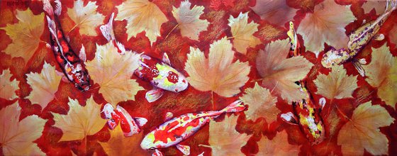 Yellow Leaves and Colored Koi Fish in Red Bottom Pool.