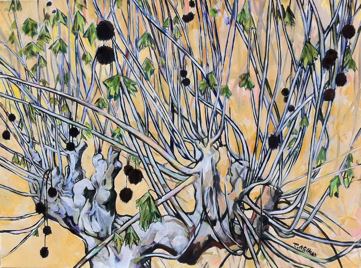 Organic Botanical Oil Painting By Chris Walker, 28 X 20, In Bud In May - En Bourgeon En Mai, Original Artwork