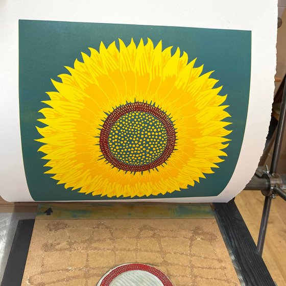 Sunflower