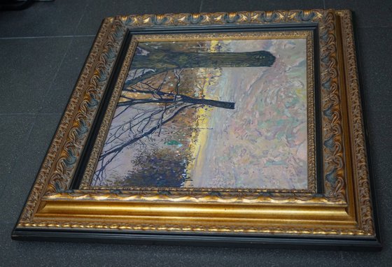 Winter Boulevard at night