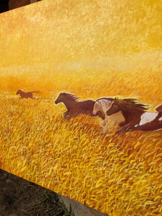 Horses chasing the sun