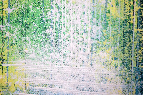 Light In A Spring Forest