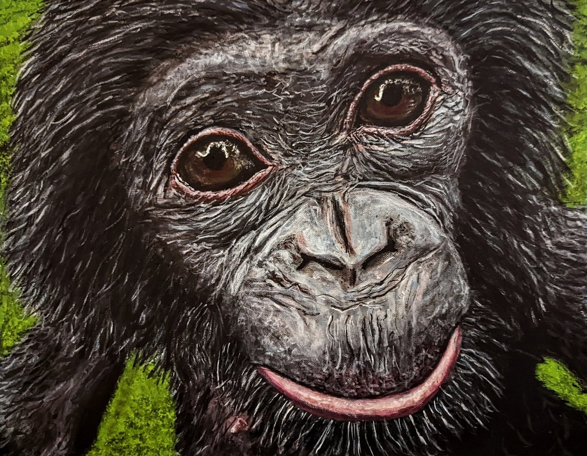 Bonobo by Robbie Potter