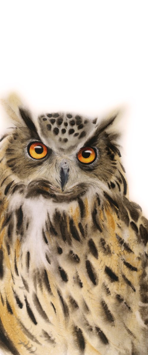 Great horned owl - Owl  - owl by Olga Beliaeva Watercolour