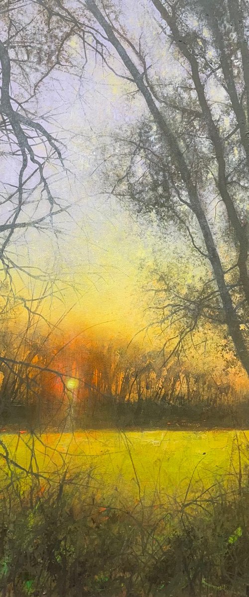 'Golden Light' by Jo Starkey
